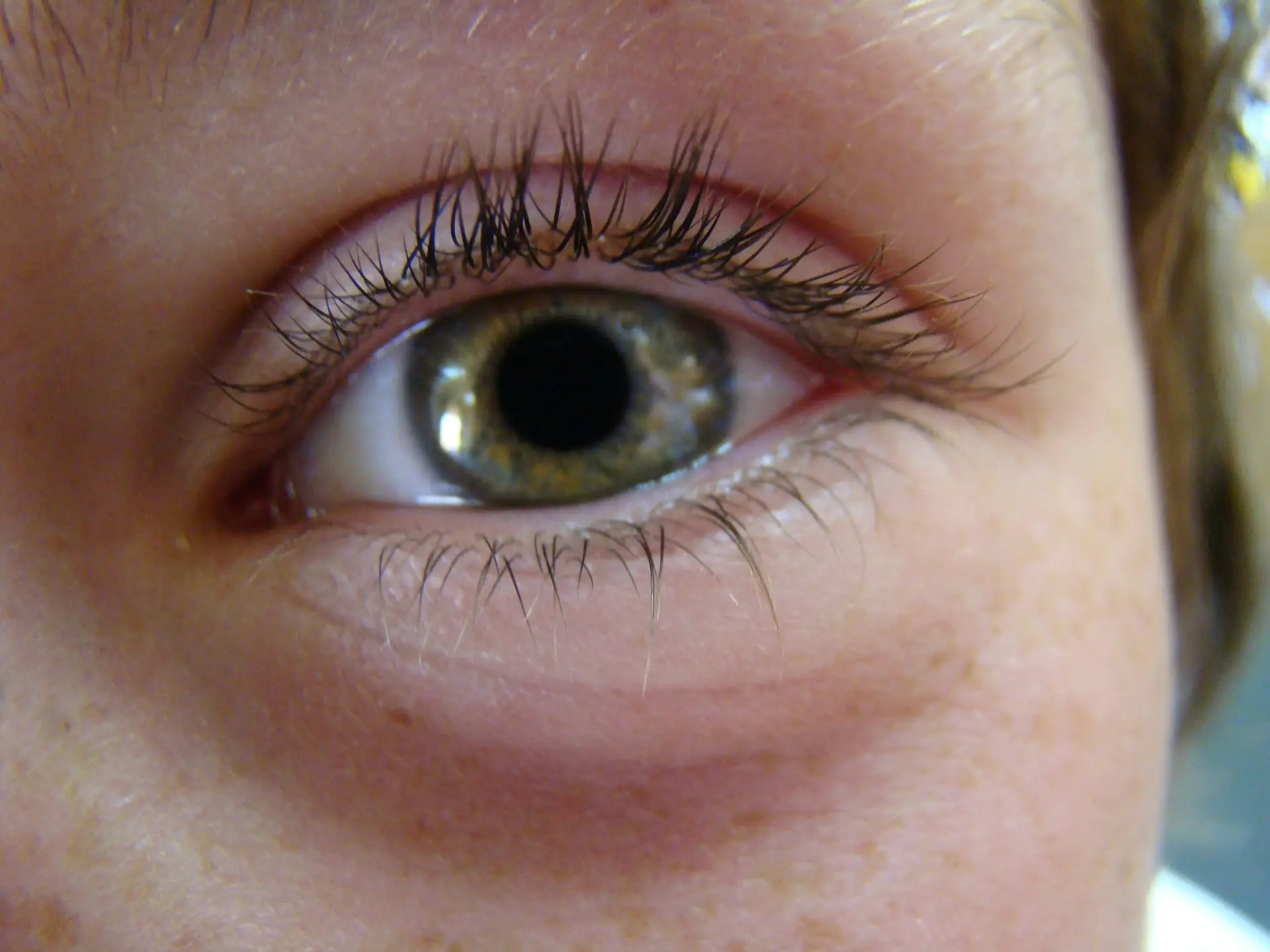 Allergies au printemps ? Découvrez les solutions pour soulager l’inconfort visuel et protéger vos yeux efficacement.